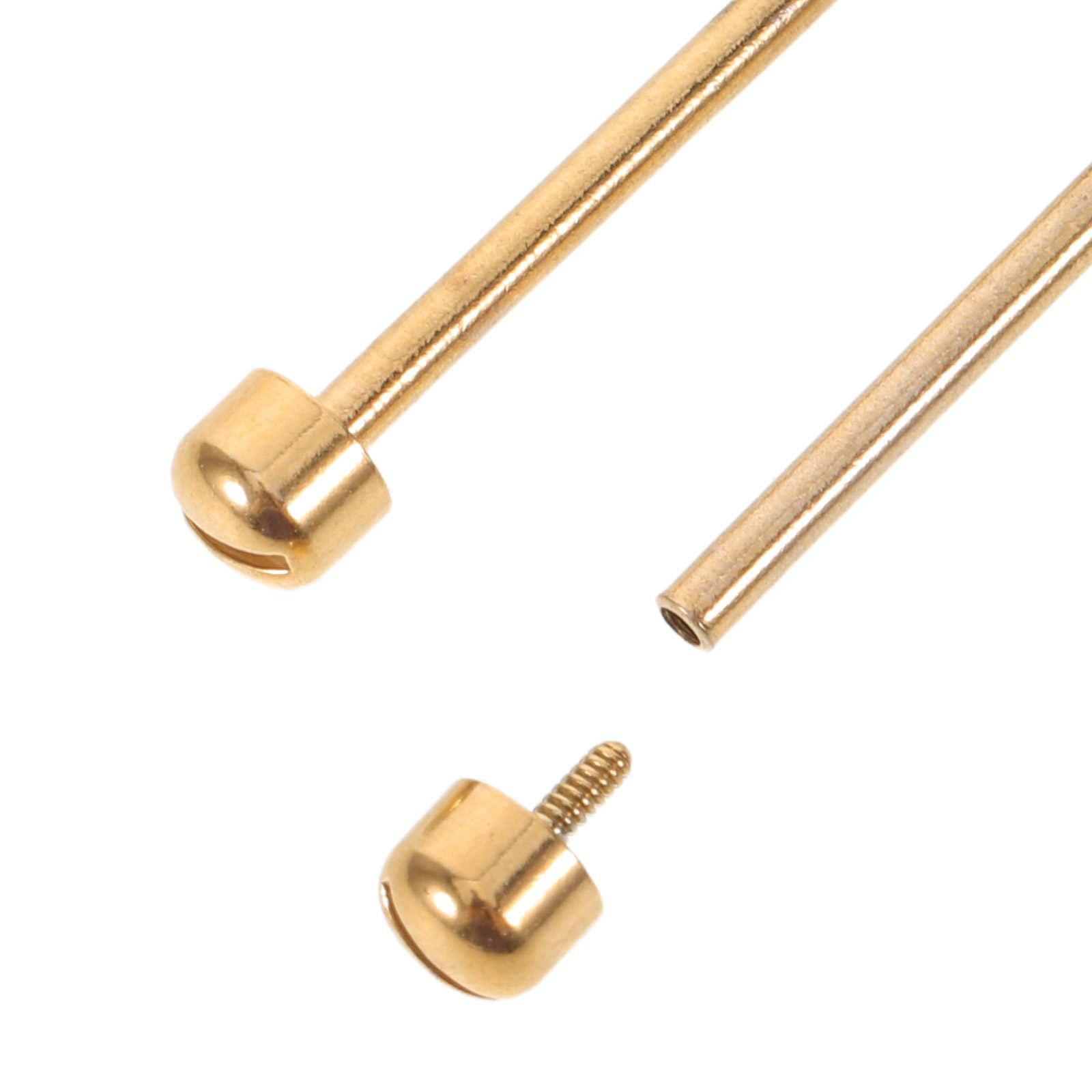 2 Pezzi Connettori per Cinturi - Watch Strap Replacement recensione e prezzo