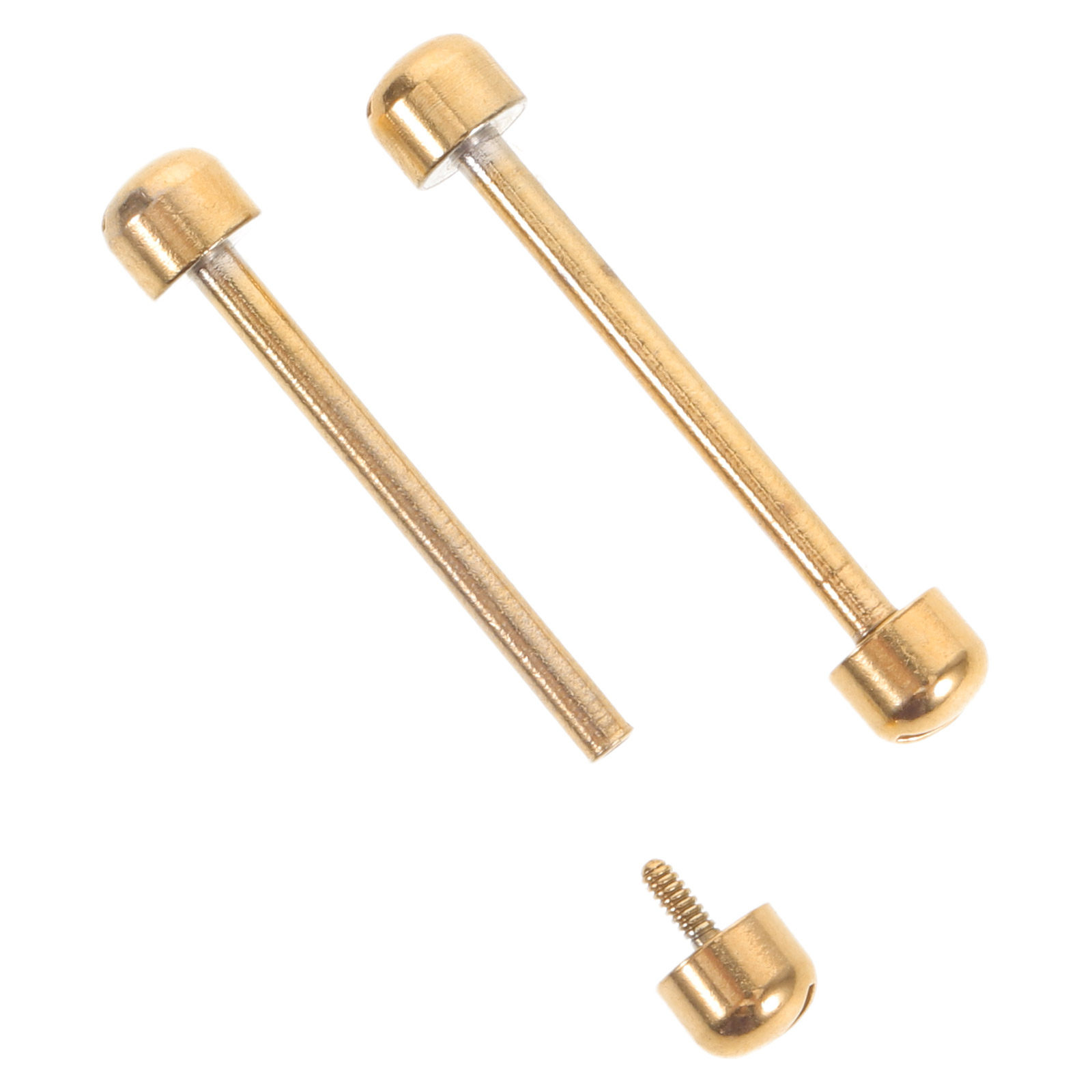 2 Pezzi Perni per Cinturino Or - Watch Strap Replacement recensione e prezzo